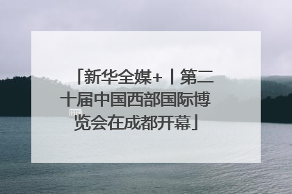 新华全媒+丨第二十届中国西部国际博览会在成都开幕
