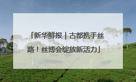 新华鲜报｜古都携手丝路！丝博会绽放新活力