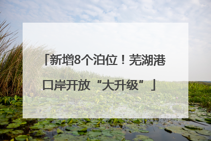 新增8个泊位！芜湖港口岸开放“大升级”