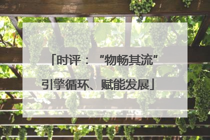 时评：“物畅其流”引擎循环、赋能发展