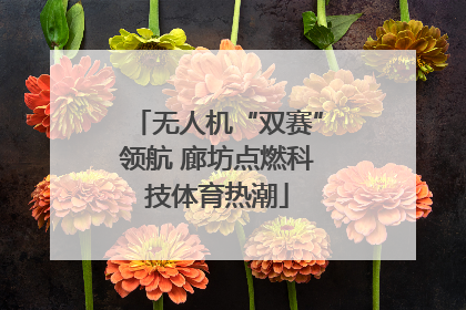 无人机“双赛”领航 廊坊点燃科技体育热潮