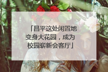 昌平这处闲置地变身大花园，成为校园崭新会客厅