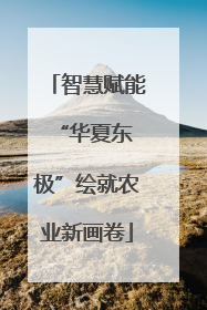 智慧赋能 “华夏东极”绘就农业新画卷