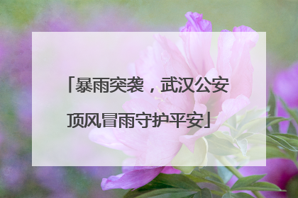 暴雨突袭，武汉公安顶风冒雨守护平安