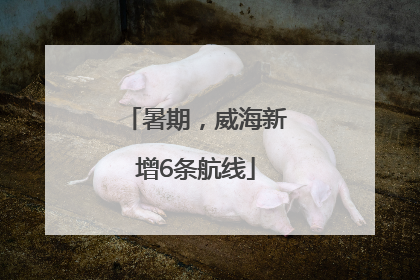 暑期，威海新增6条航线