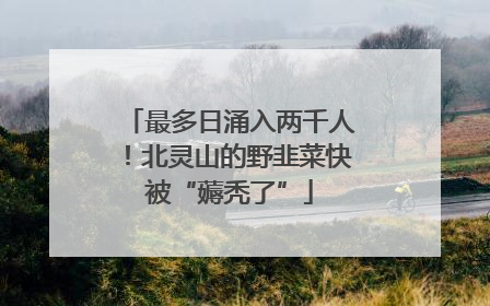 最多日涌入两千人！北灵山的野韭菜快被“薅秃了”