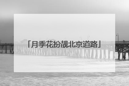 月季花扮靓北京道路