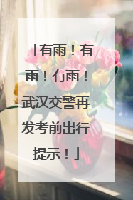 有雨！有雨！有雨！武汉交警再发考前出行提示！