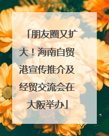 朋友圈又扩大！海南自贸港宣传推介及经贸交流会在大阪举办