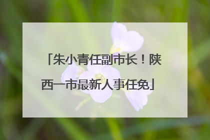 朱小青任副市长！陕西一市最新人事任免