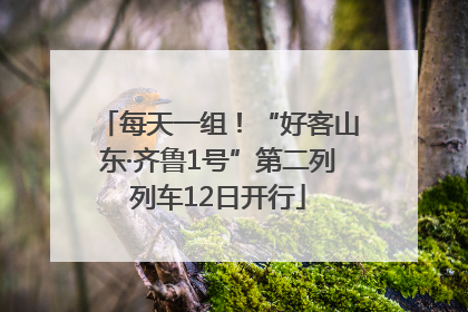 每天一组！“好客山东·齐鲁1号”第二列列车12日开行