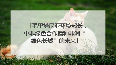 毛里塔尼亚环境部长：中非绿色合作播种非洲“绿色长城”的未来