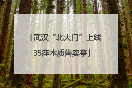 武汉“北大门”上线35座木质售卖亭