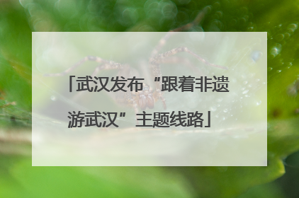 武汉发布“跟着非遗游武汉”主题线路