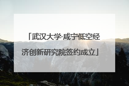 武汉大学·咸宁低空经济创新研究院签约成立