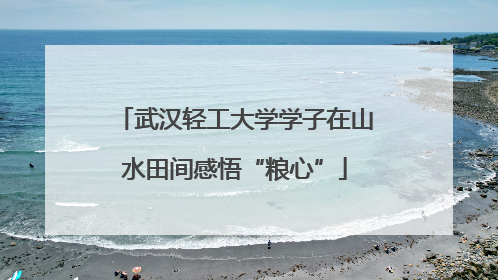 武汉轻工大学学子在山水田间感悟“粮心”