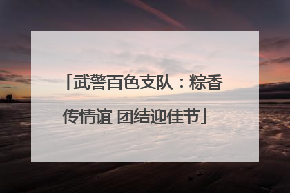 武警百色支队：粽香传情谊 团结迎佳节