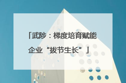 武陟：梯度培育赋能企业“拔节生长”