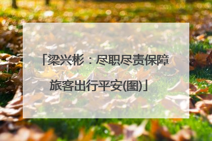 梁兴彬：尽职尽责保障旅客出行平安(图)