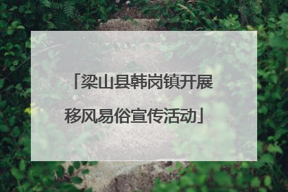 梁山县韩岗镇开展移风易俗宣传活动