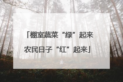 棚室蔬菜“绿”起来 农民日子“红”起来