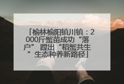 榆林榆阳镇川镇：2000斤蟹苗成功“落户” 蹚出“稻蟹共生”生态种养新路径