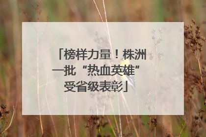 榜样力量！株洲一批“热血英雄”受省级表彰