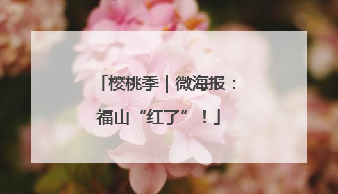 樱桃季｜微海报：福山“红了”！