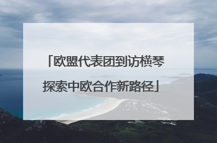 欧盟代表团到访横琴 探索中欧合作新路径
