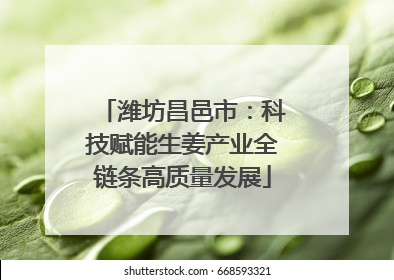 潍坊昌邑市：科技赋能生姜产业全链条高质量发展