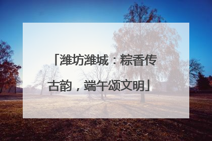 潍坊潍城：粽香传古韵，端午颂文明