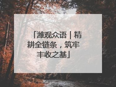 潍观众语｜精耕全链条，筑牢丰收之基