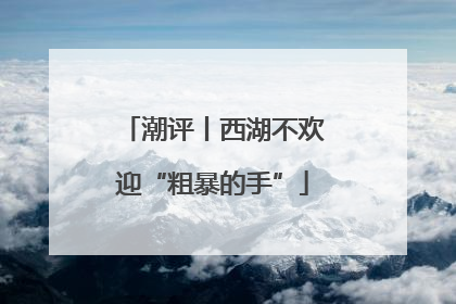 潮评丨西湖不欢迎“粗暴的手”
