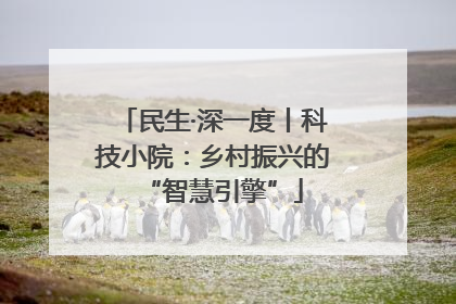 民生·深一度丨科技小院：乡村振兴的“智慧引擎”