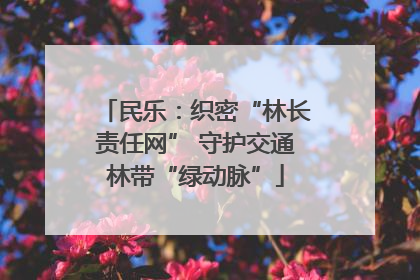 民乐：织密“林长责任网” 守护交通林带“绿动脉”