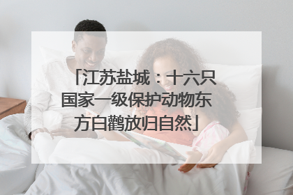 江苏盐城：十六只国家一级保护动物东方白鹳放归自然