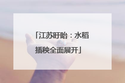 江苏盱眙：水稻插秧全面展开