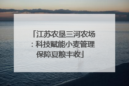江苏农垦三河农场：科技赋能小麦管理保障夏粮丰收