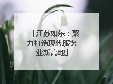 江苏如东：聚力打造现代服务业新高地