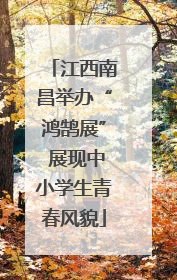 江西南昌举办“鸿鹄展” 展现中小学生青春风貌