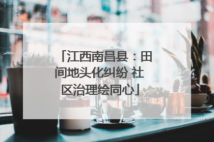 江西南昌县：田间地头化纠纷 社区治理绘同心