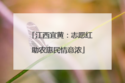 江西宜黄：志愿红助农惠民情意浓