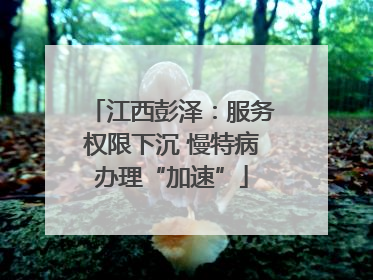 江西彭泽：服务权限下沉 慢特病办理“加速”