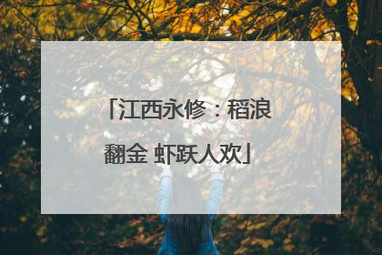 江西永修：稻浪翻金 虾跃人欢