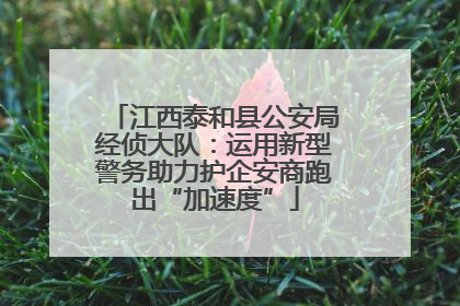 江西泰和县公安局经侦大队：运用新型警务助力护企安商跑出“加速度”