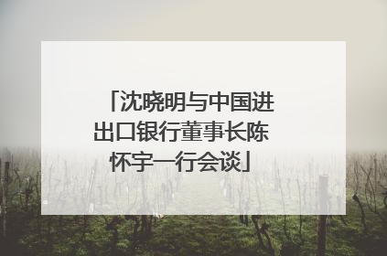 沈晓明与中国进出口银行董事长陈怀宇一行会谈