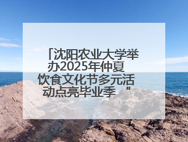 沈阳农业大学举办2025年仲夏饮食文化节多元活动点亮毕业季 “辽宁优品”进校园首站启动