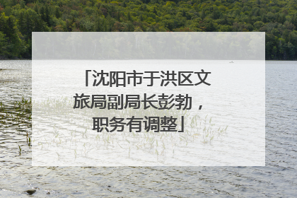 沈阳市于洪区文旅局副局长彭勃，职务有调整