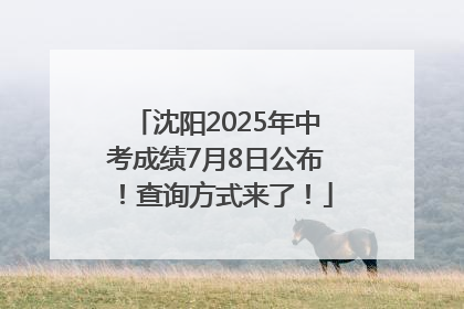 沈阳2025年中考成绩7月8日公布！查询方式来了！