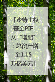 沙特主权基金PIF又“增肥”：总资产增至1.15万亿美元